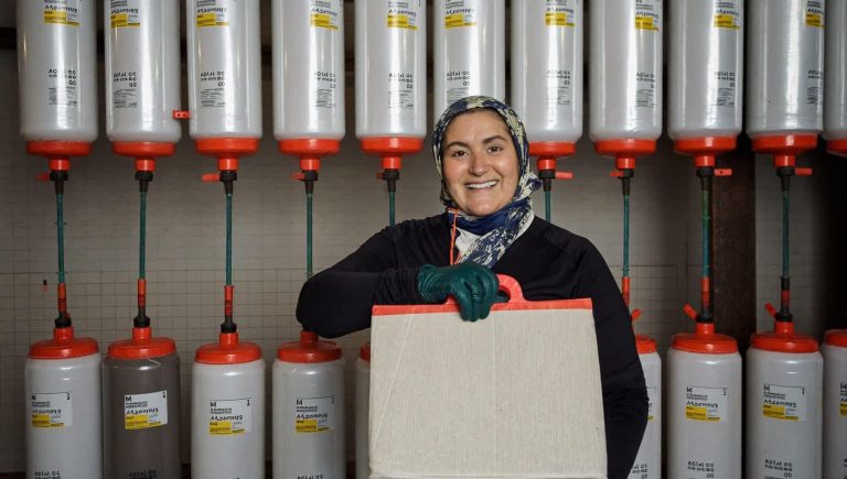 Как выбрать индикаторные пломбы для бизнеса без ошибок