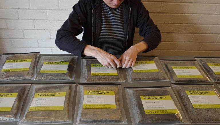 Опломбирование на складе: как выстроить безопасный процесс